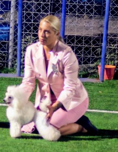 Κομμωτήριο Σκύλων - Pet Shop
